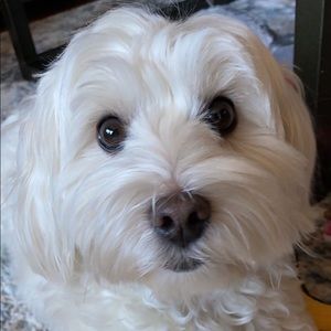 Meet your Posher, Erica